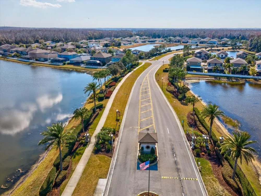 1716 HADDEN HALL PLACE Trinity, FL 34655