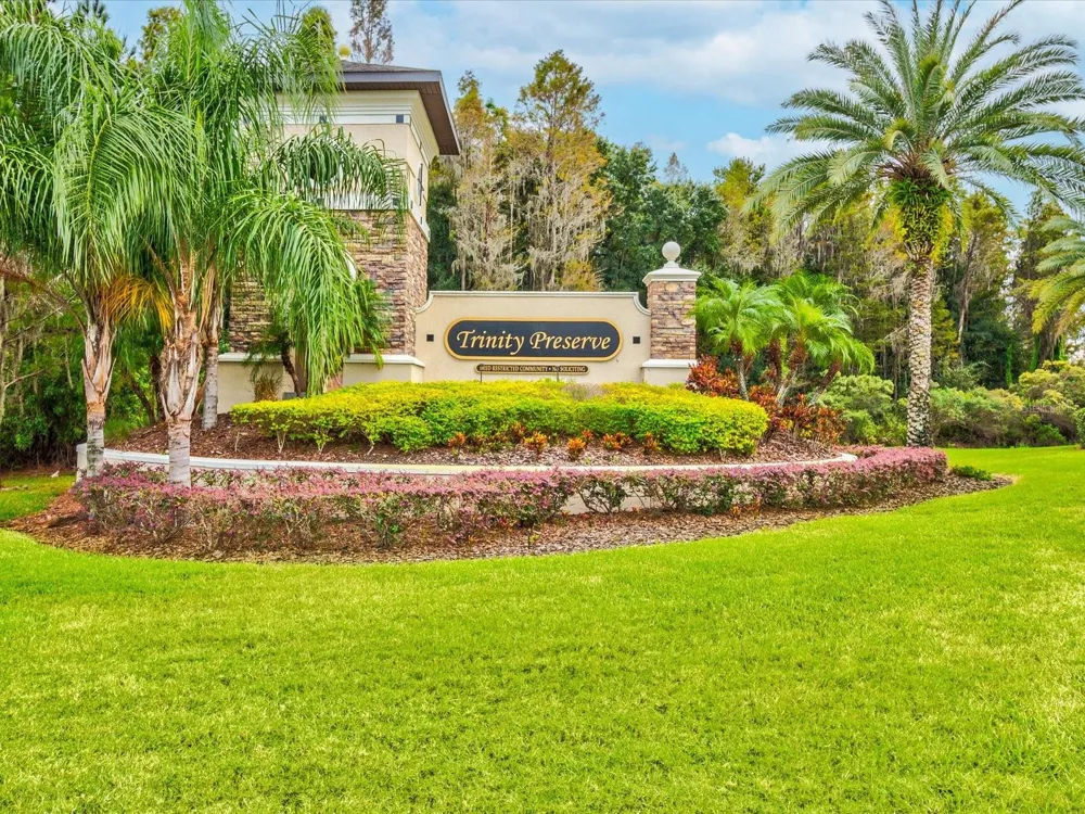 1716 HADDEN HALL PLACE Trinity, FL 34655