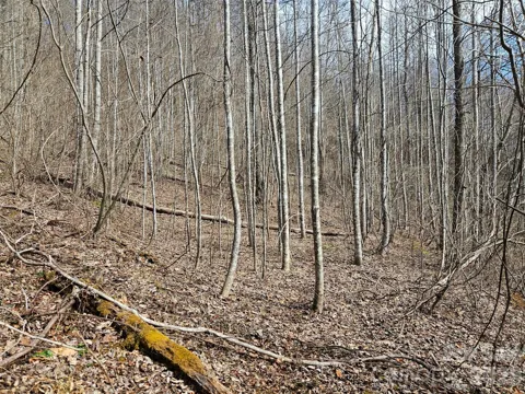 0 Woodfin Road