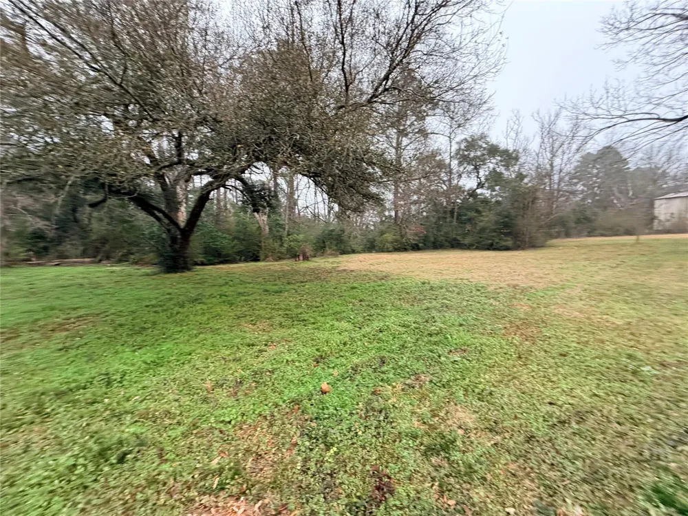 304 Wheeler Road Colmesneil, TX 75938
