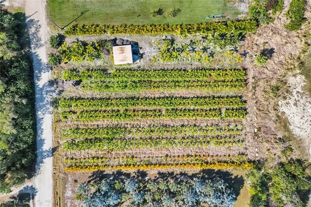 Courtney Road St James City, FL 33956