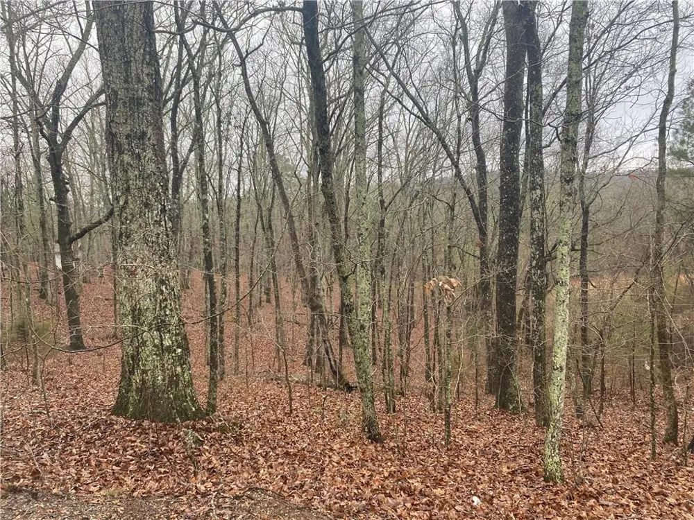 0 John Ingram Road Silver Creek, GA 30173