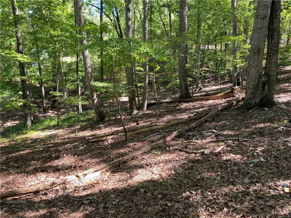 0 John Ingram Road Silver Creek, GA 30173