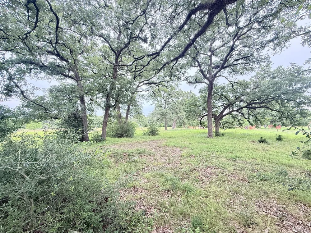 Wannabe Road Bryan, TX 77808