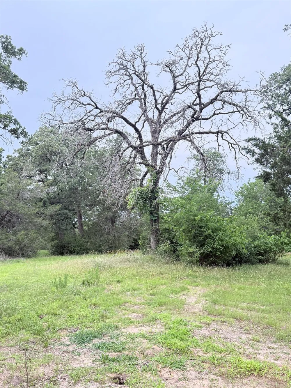 Wannabe Road Bryan, TX 77808