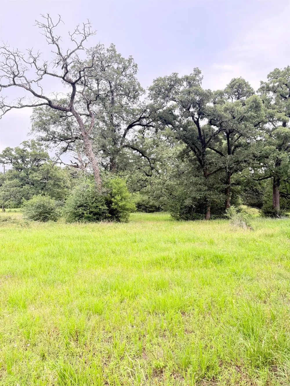 Wannabe Road Bryan, TX 77808