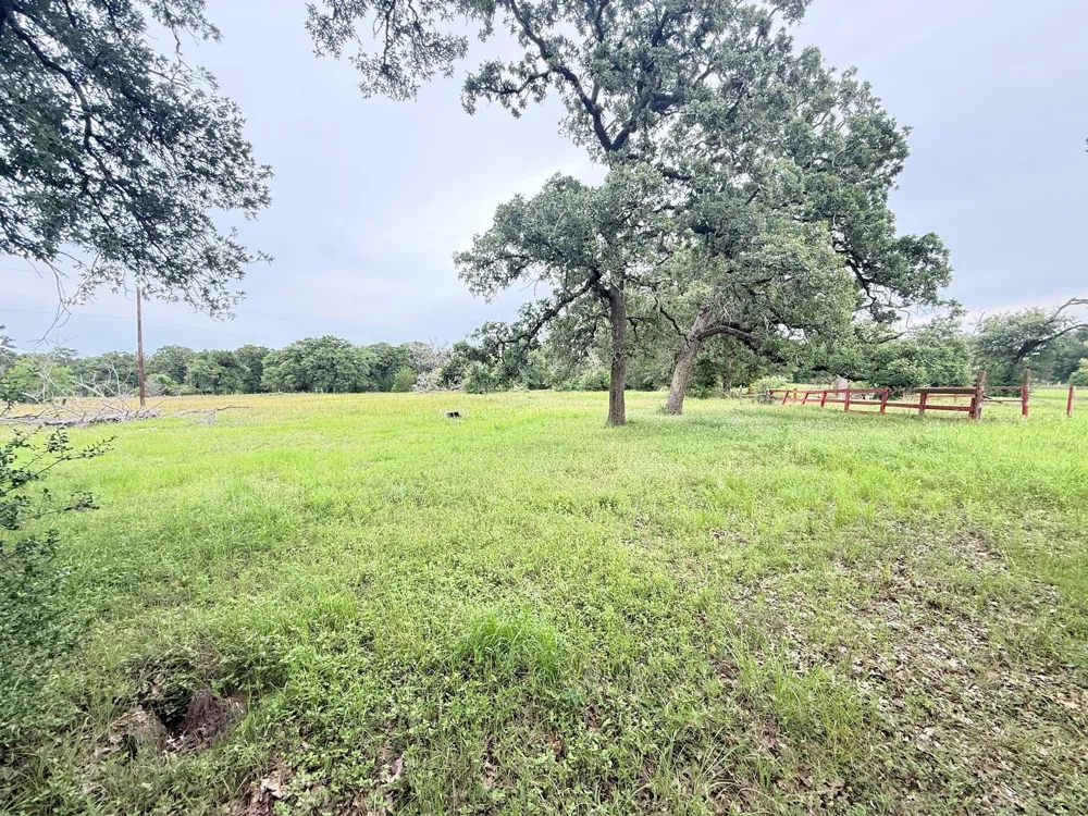 Wannabe Road Bryan, TX 77808