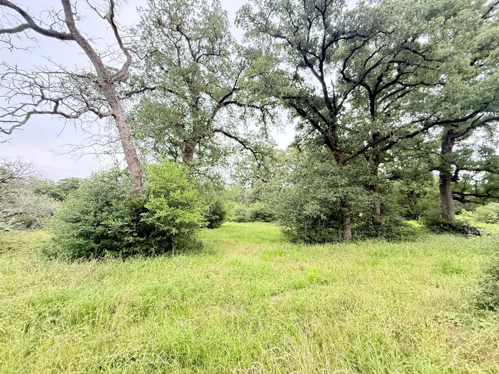 Wannabe Road Bryan, TX 77808