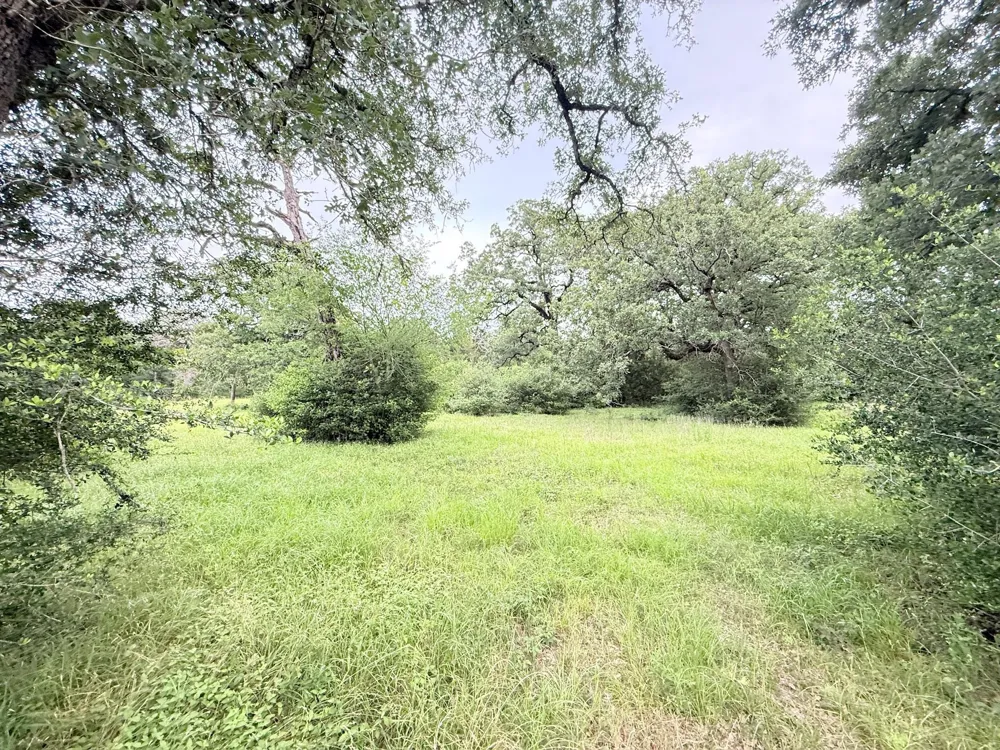 Wannabe Road Bryan, TX 77808
