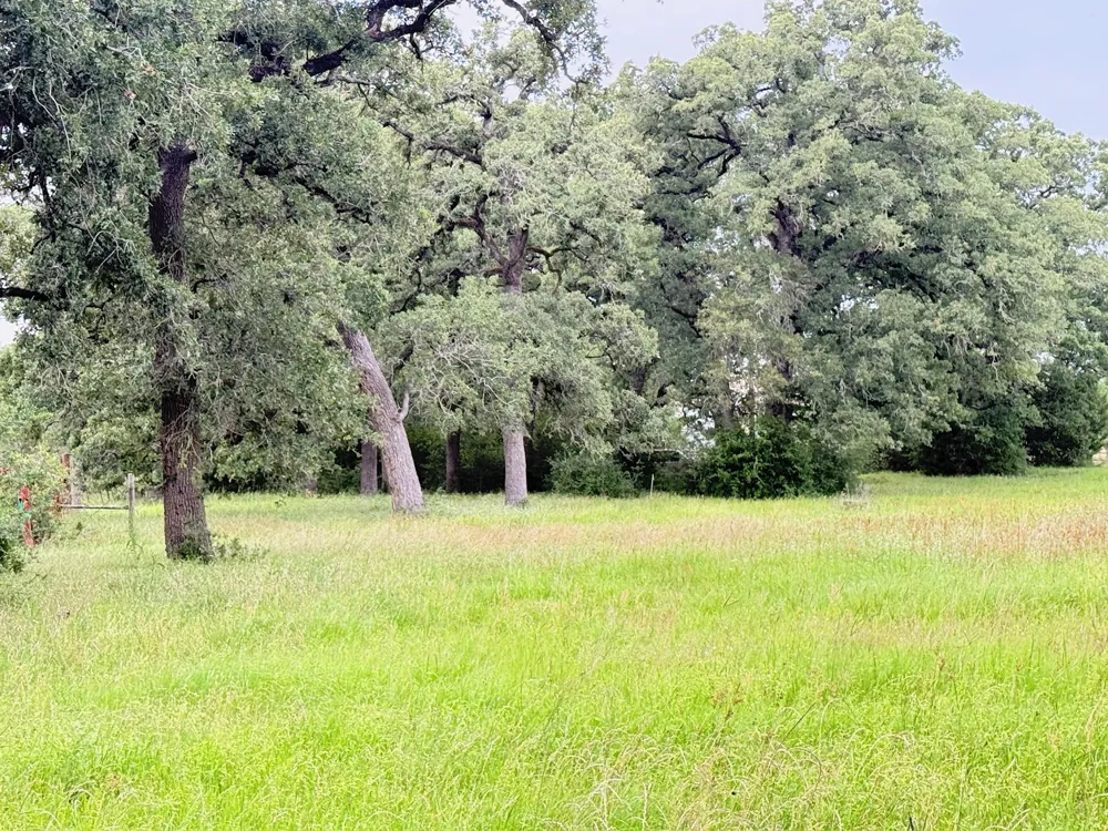 Wannabe Road Bryan, TX 77808