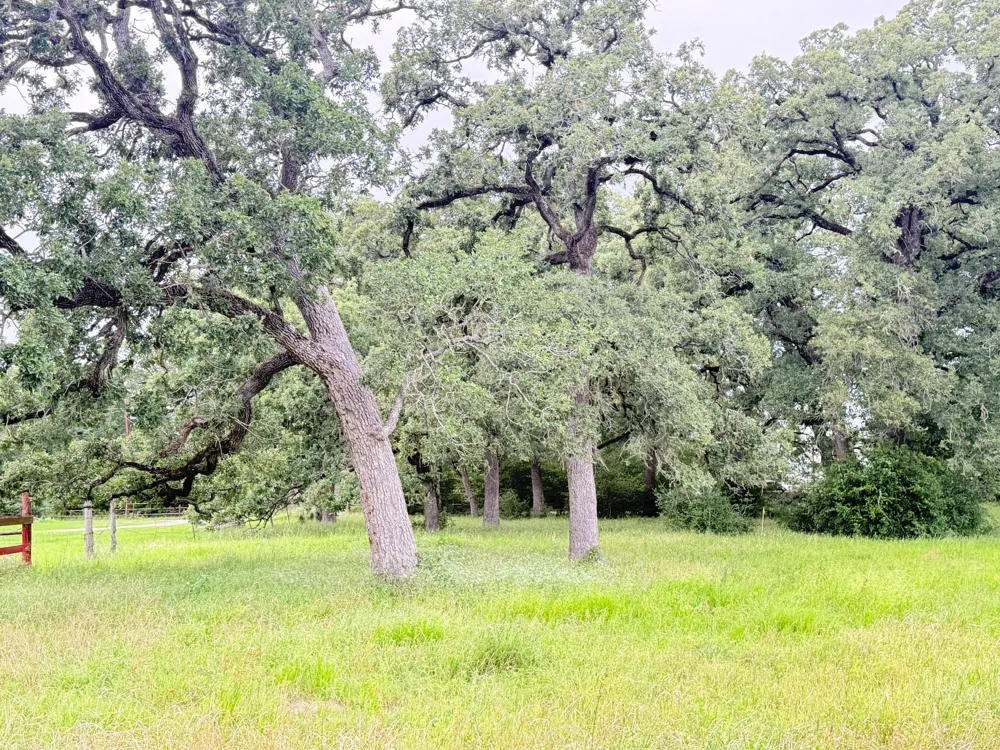 Wannabe Road Bryan, TX 77808