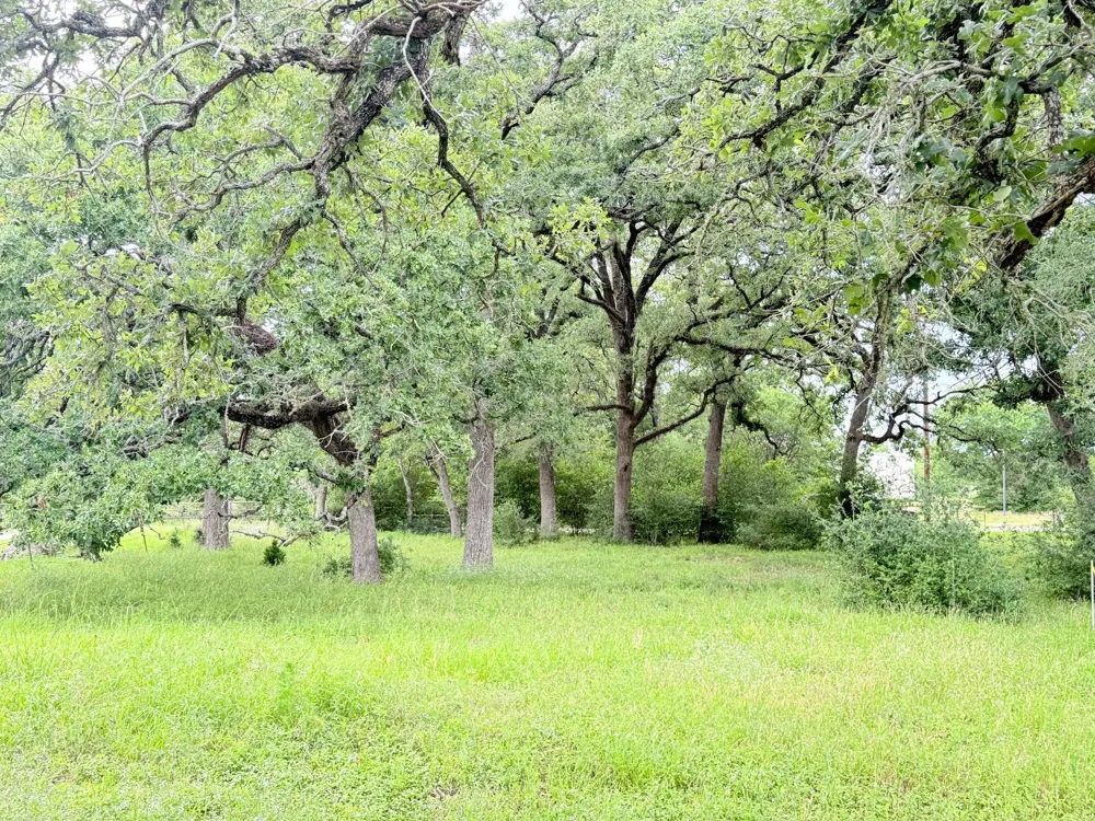 Wannabe Road Bryan, TX 77808
