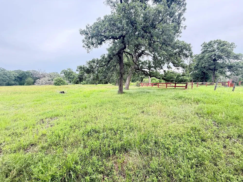 Wannabe Road Bryan, TX 77808