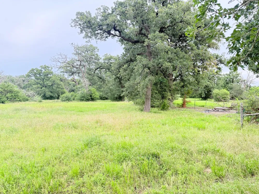 Wannabe Road Bryan, TX 77808