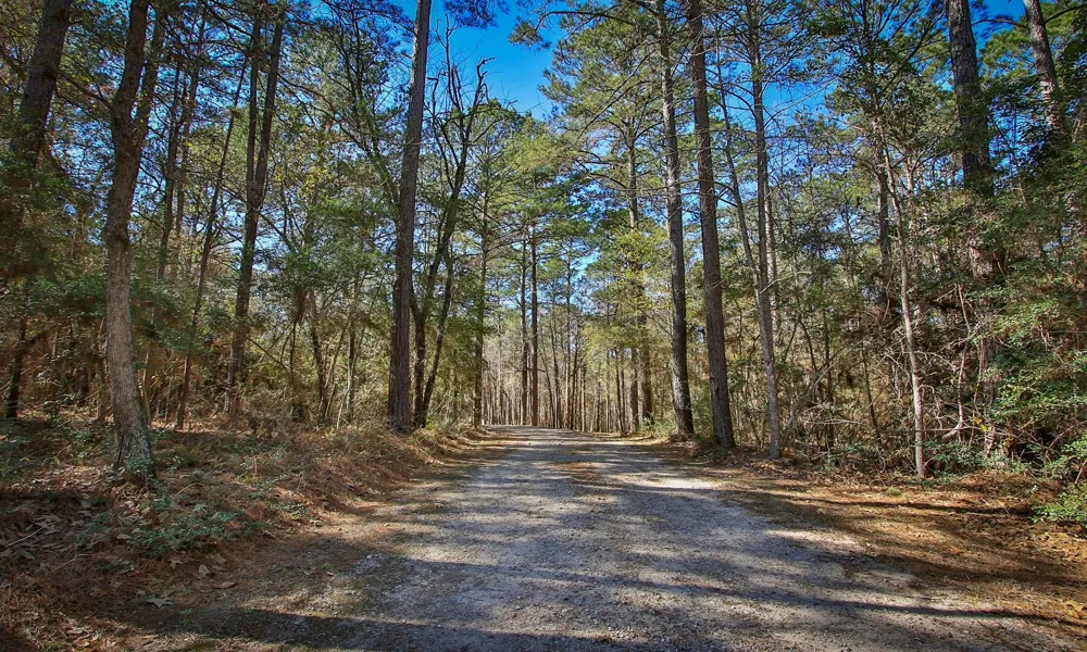 1142 Fletcher Anderson, TX 77830