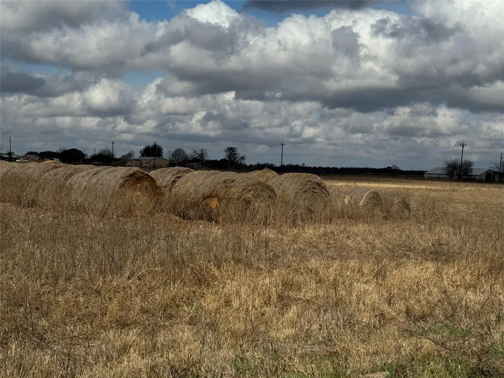 1050 Cr 201 Weimar, TX 78962