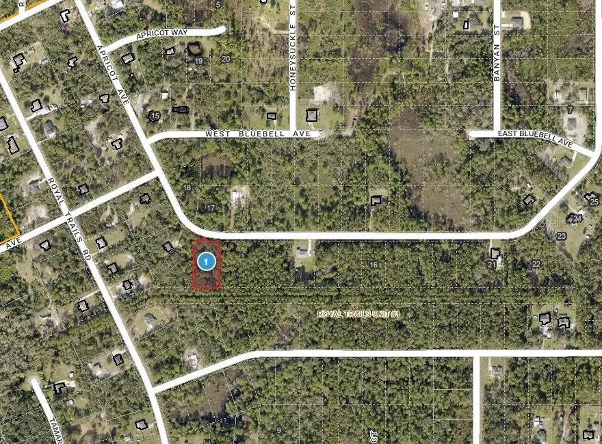APRICOT AVENUE Eustis, FL 32736