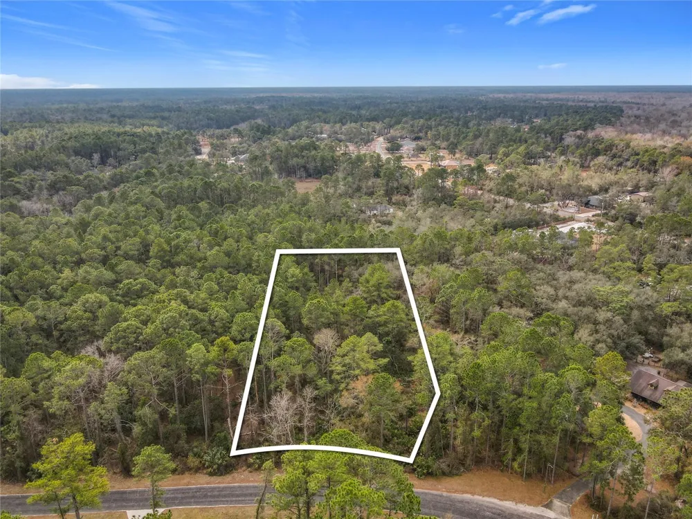 APRICOT AVENUE Eustis, FL 32736