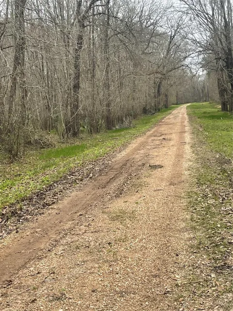 County Road 2505