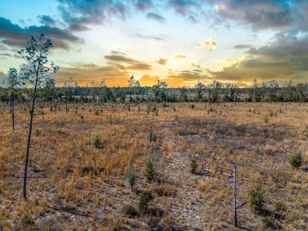 TBD 211TH COURT Live Oak, FL 32060