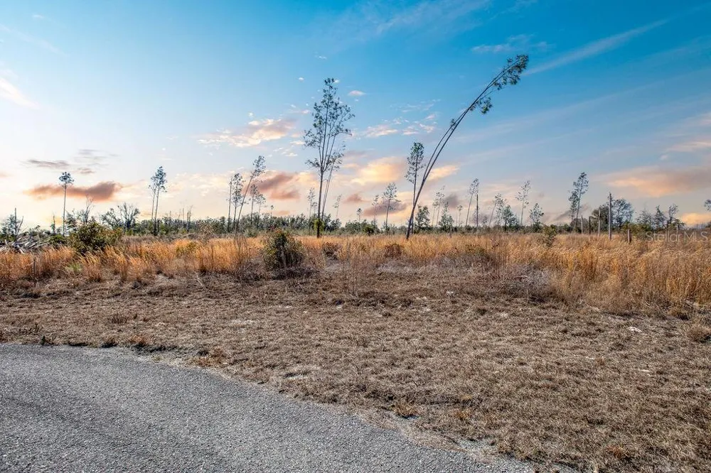 TBD 211TH COURT Live Oak, FL 32060