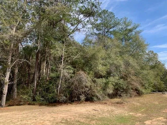 167 SPARKLEBERRY BOULEVARD Quincy, FL 32351