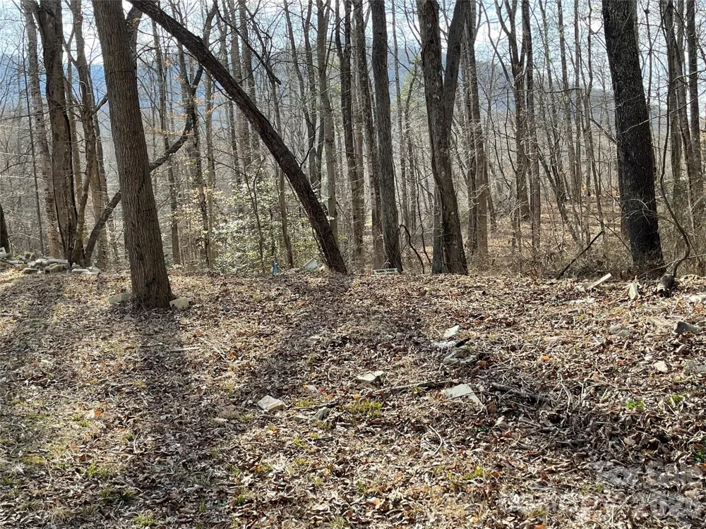 000 Max Metcalf Road