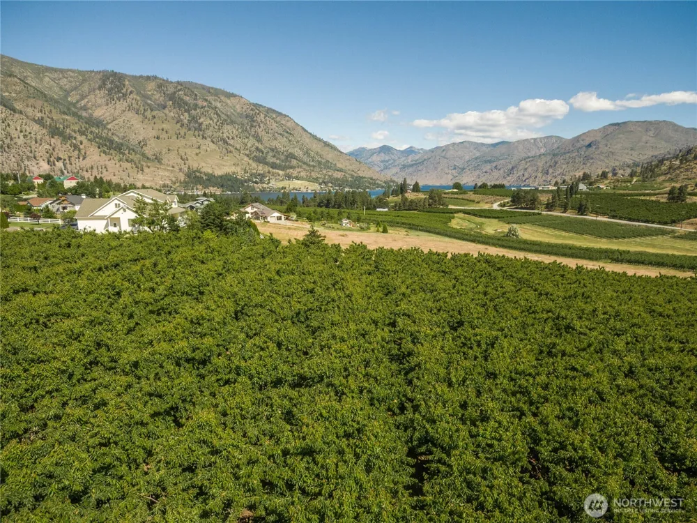 950 Loop Avenue Manson, WA 98831