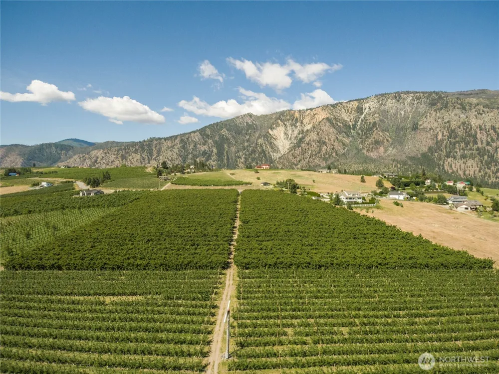 950 Loop Avenue Manson, WA 98831