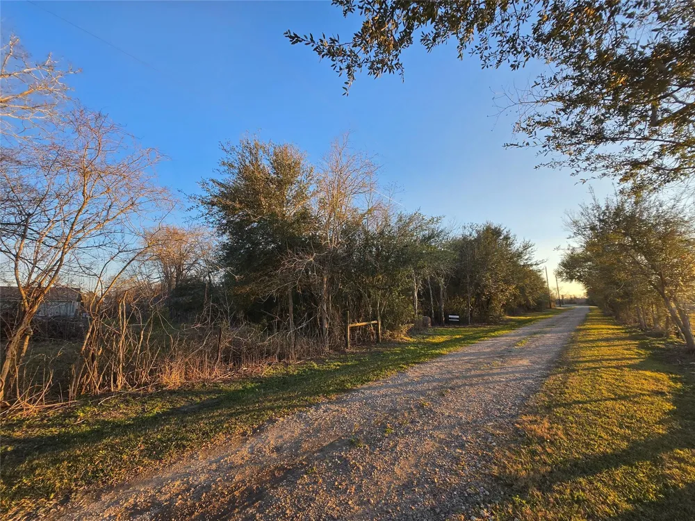 Shook Road Santa Fe, TX 77517