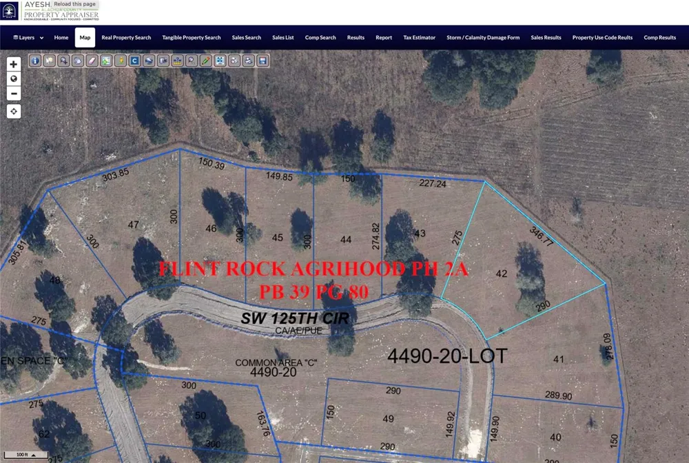 5215 SW 125TH CIRCLE Archer, FL 32618