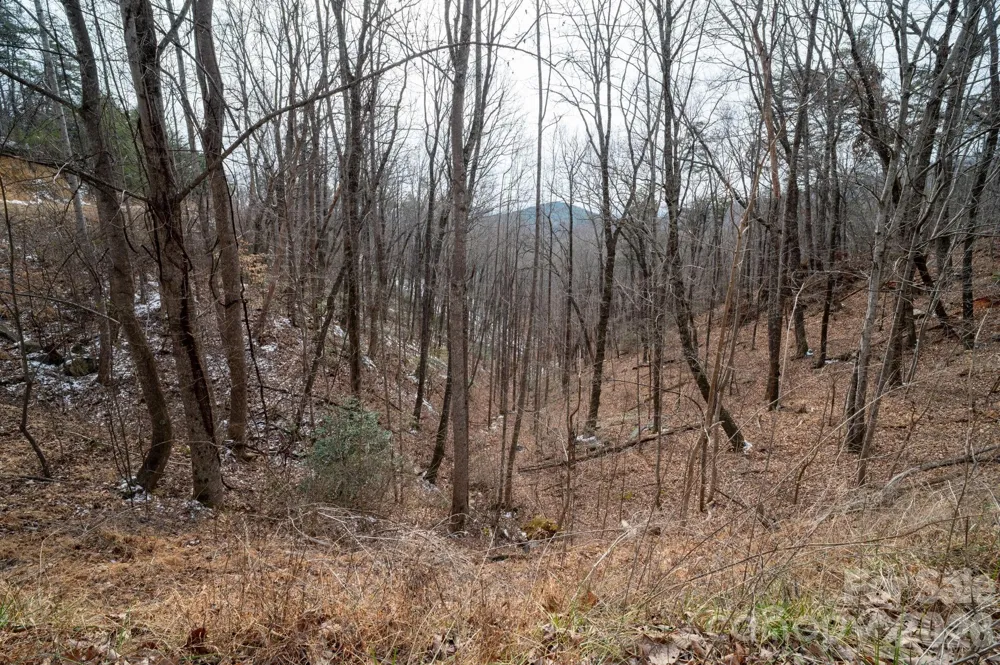 000 Pinnacle Parkway Union Mills, NC 28167