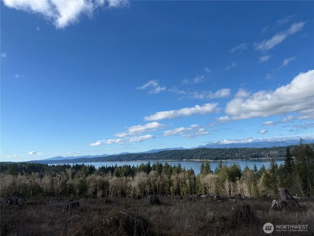 3 Track RimStone Loop Belfair, WA 98528