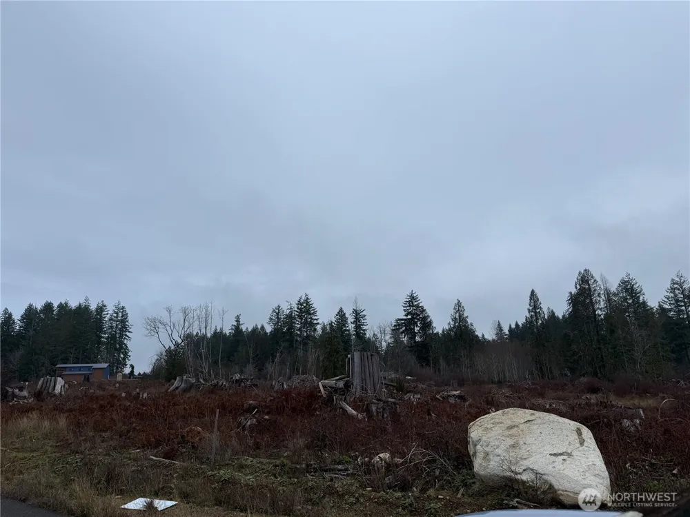 3 Track RimStone Loop Belfair, WA 98528