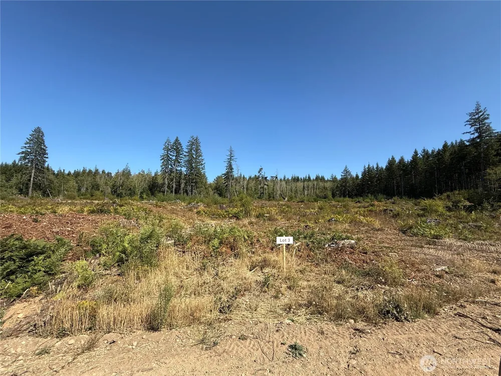 3 Track RimStone Loop Belfair, WA 98528
