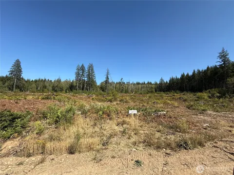 3 Track RimStone Loop