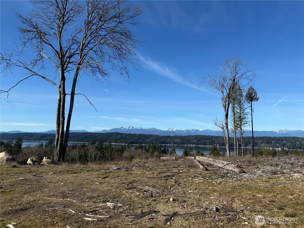9 Track RimStone Loop Belfair, WA 98528