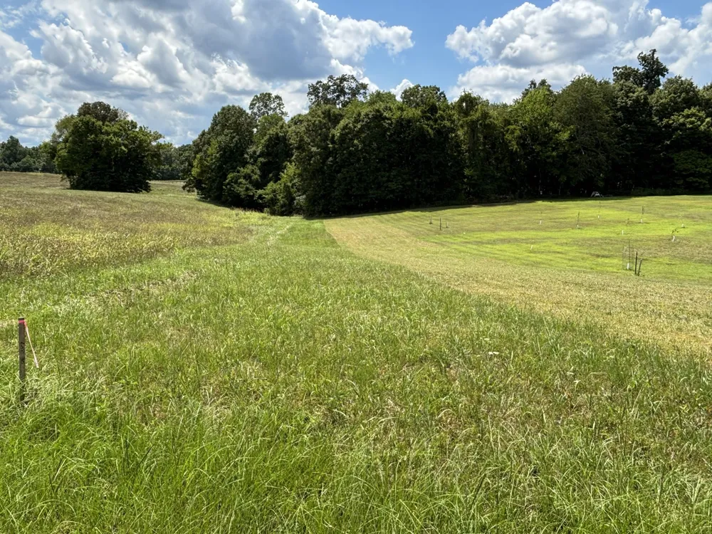 0 Middle Lick Creek Rd Lyles, TN 37098