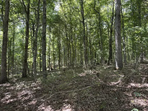 0 Middle Lick Creek Rd