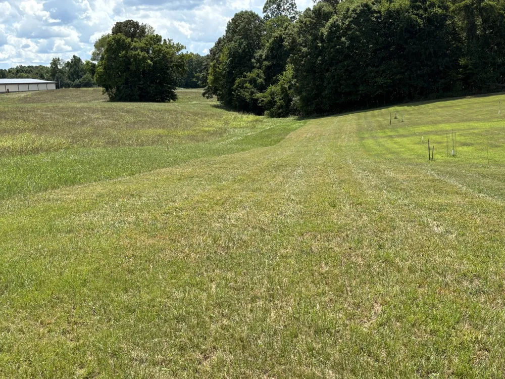 0 Middle Lick Creek Rd Lyles, TN 37098