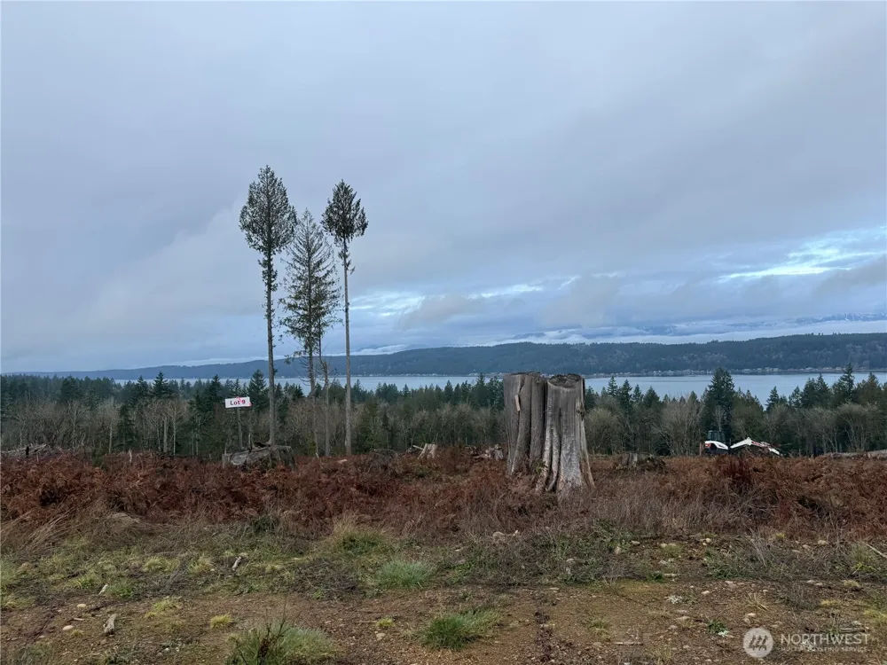 2 Track RimStone Loop Belfair, WA 98528