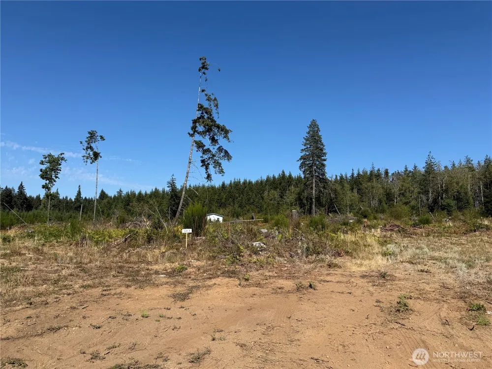 2 Track RimStone Loop Belfair, WA 98528