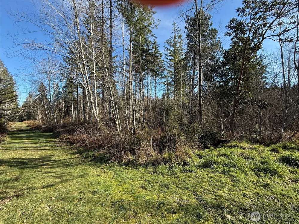 7 Parcel E Johnson Ridge Road Belfair, WA 98528