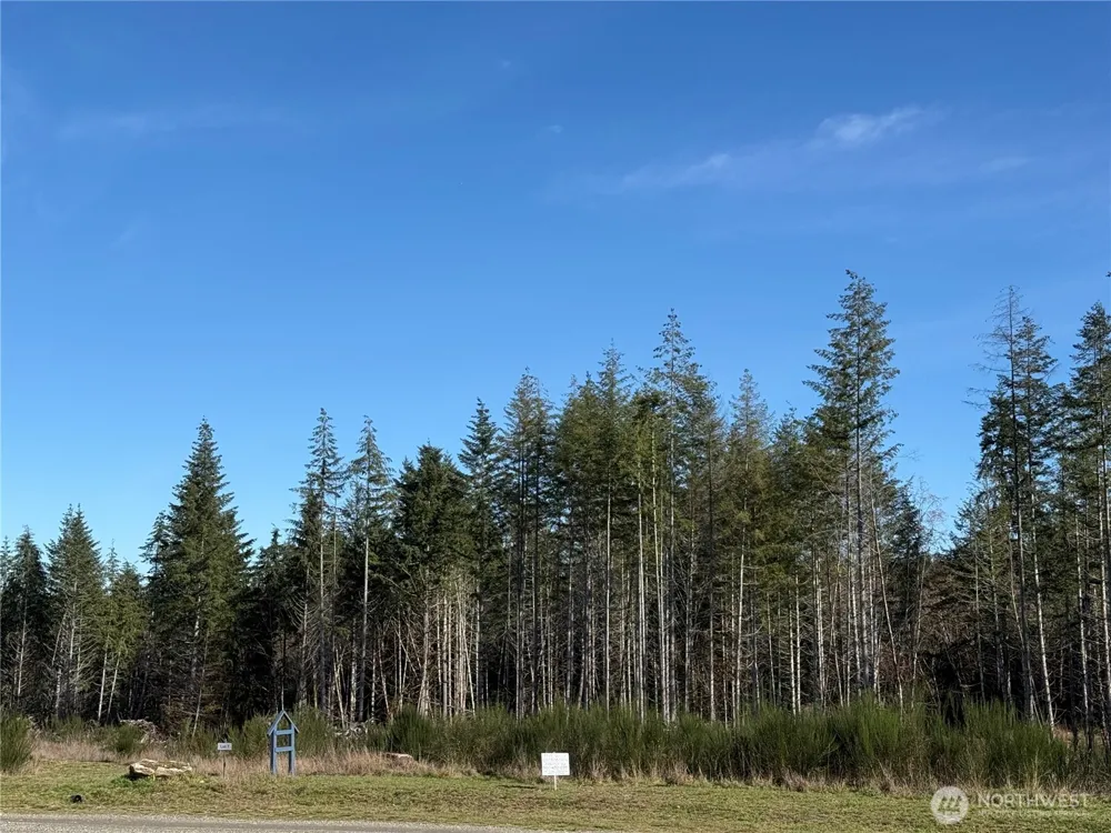7 Parcel E Johnson Ridge Road Belfair, WA 98528