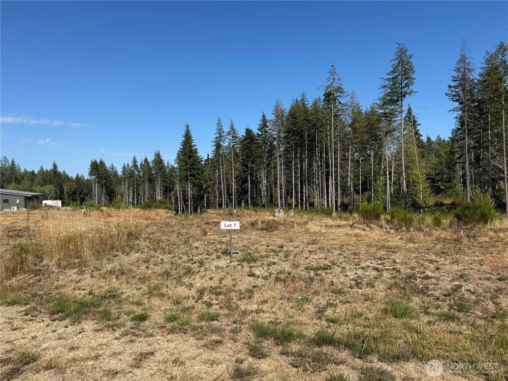 7 Parcel E Johnson Ridge Road Belfair, WA 98528
