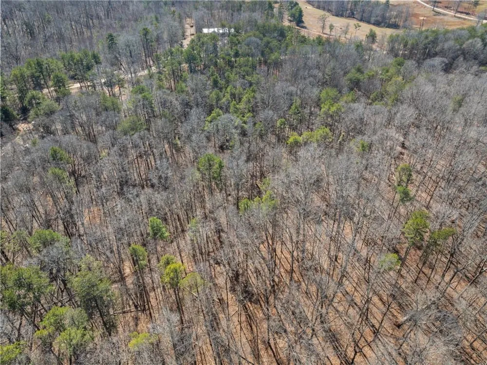 5419 Highway 320 Carnesville, GA 30521