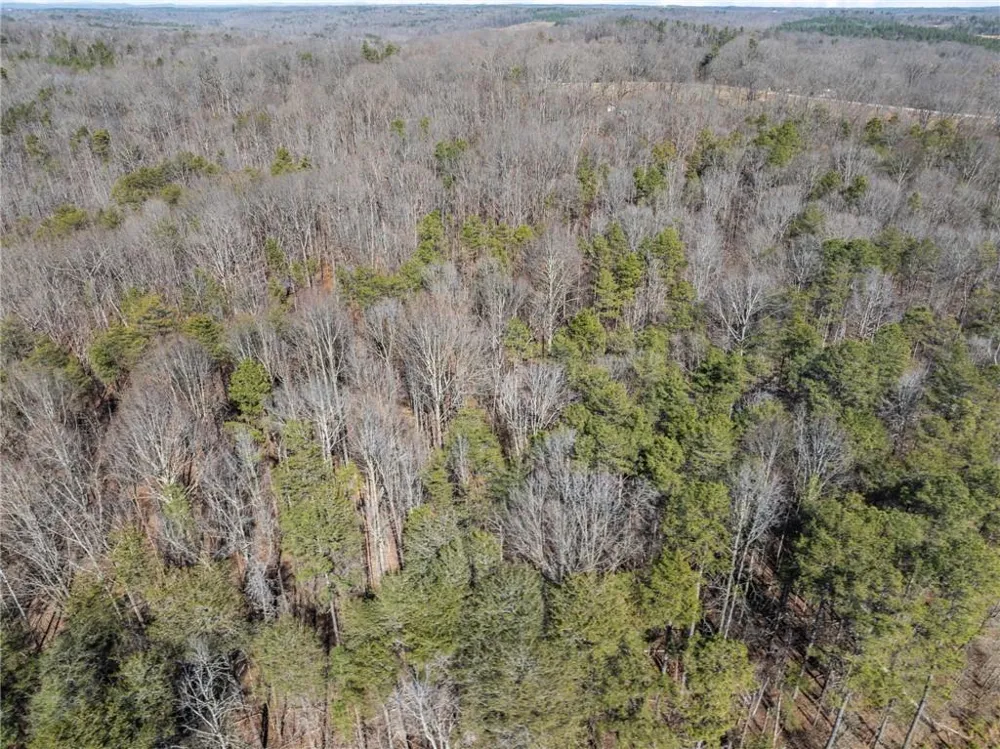 5419 Highway 320 Carnesville, GA 30521