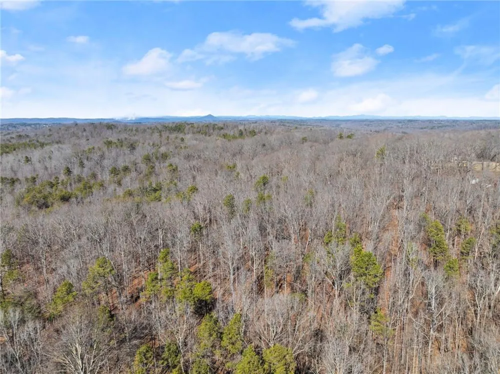 5419 Highway 320 Carnesville, GA 30521