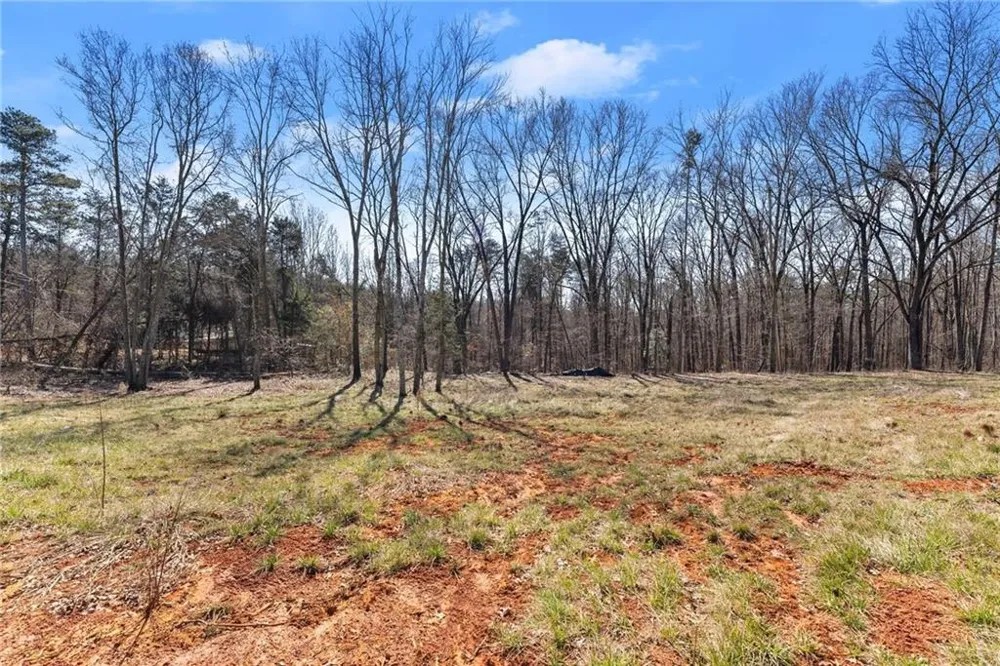 5419 Highway 320 Carnesville, GA 30521