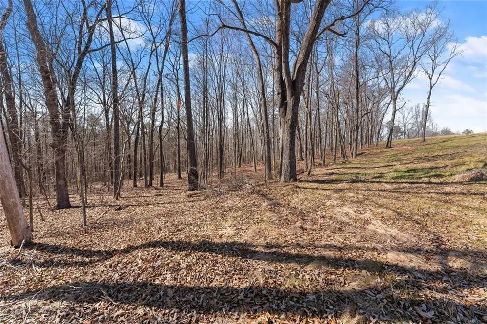 5419 Highway 320 Carnesville, GA 30521